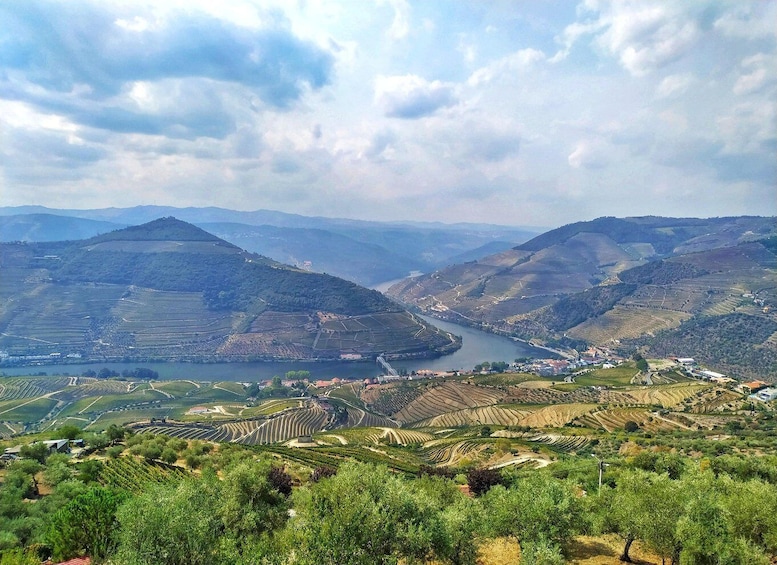 Picture 11 for Activity Porto: Douro Valley Wine Tour with Tastings, Boat, and Lunch