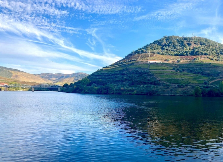 Picture 8 for Activity Porto: Douro Valley Wine Tour with Tastings, Boat, and Lunch
