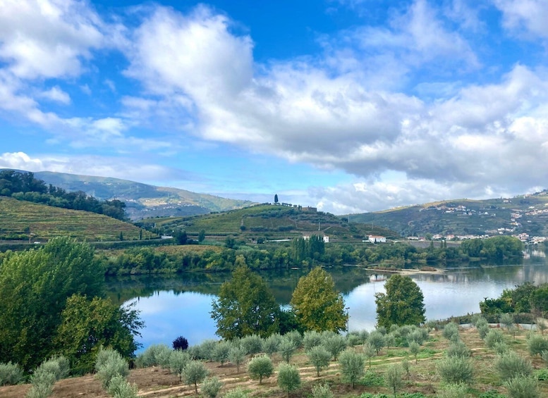 Picture 3 for Activity Porto: Douro Valley Wine Tour with Tastings, Boat, and Lunch