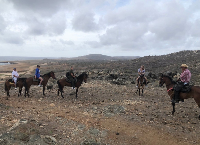 Picture 13 for Activity Aruba: Horseback Ride Tour to Wariruri Beach
