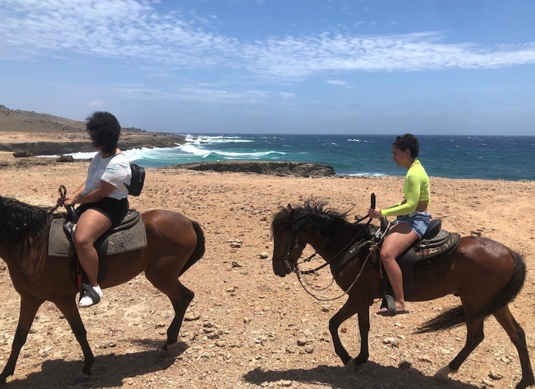 Picture 6 for Activity Aruba: Horseback Ride Tour to Wariruri Beach