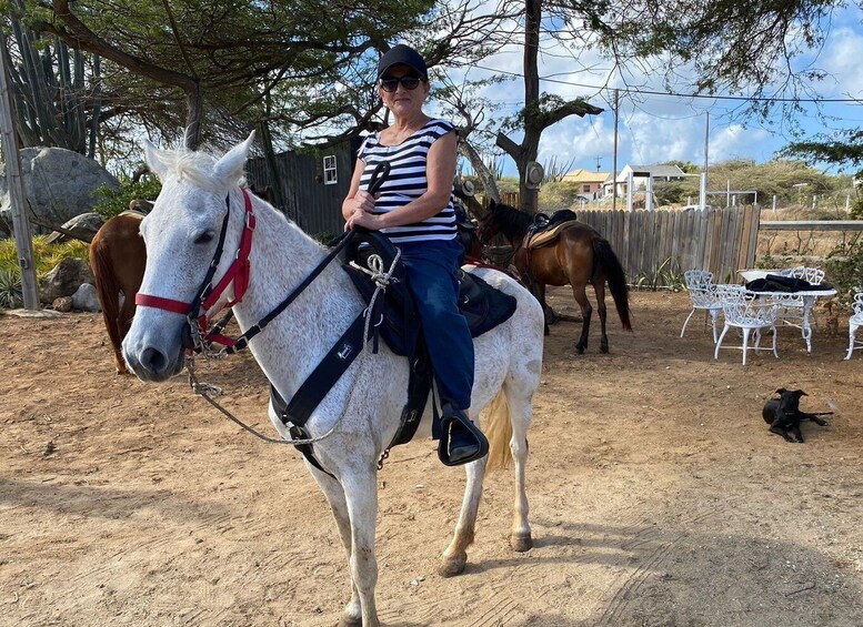 Picture 1 for Activity Aruba: Horseback Ride Tour to Wariruri Beach