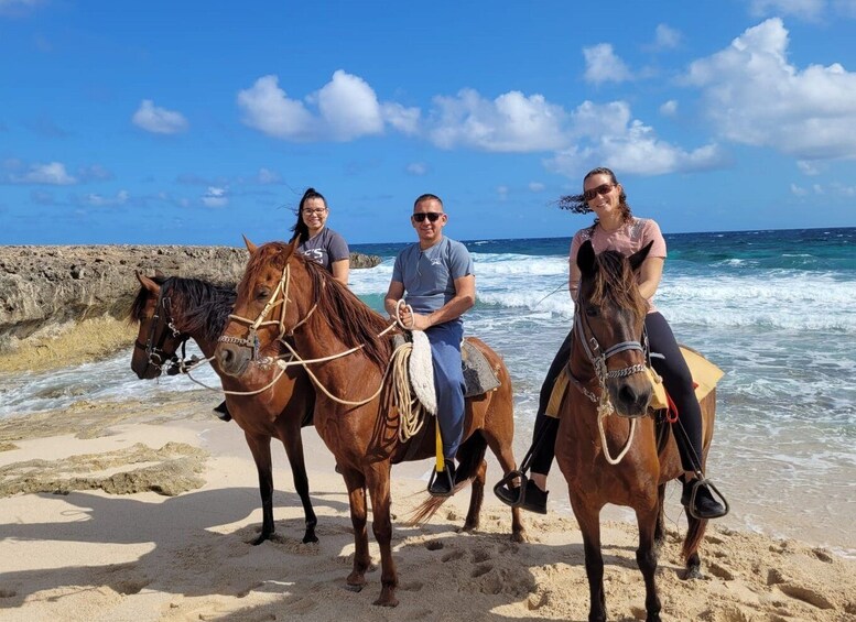 Picture 7 for Activity Aruba: Horseback Ride Tour to Wariruri Beach