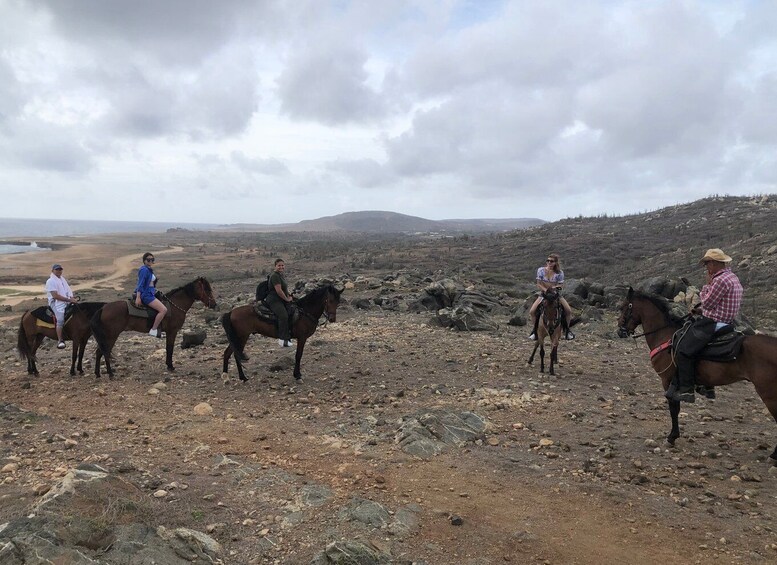 Picture 13 for Activity Aruba: Horseback Ride Tour to Wariruri Beach