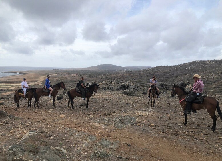 Picture 13 for Activity Aruba: Horseback Ride Tour to Wariruri Beach