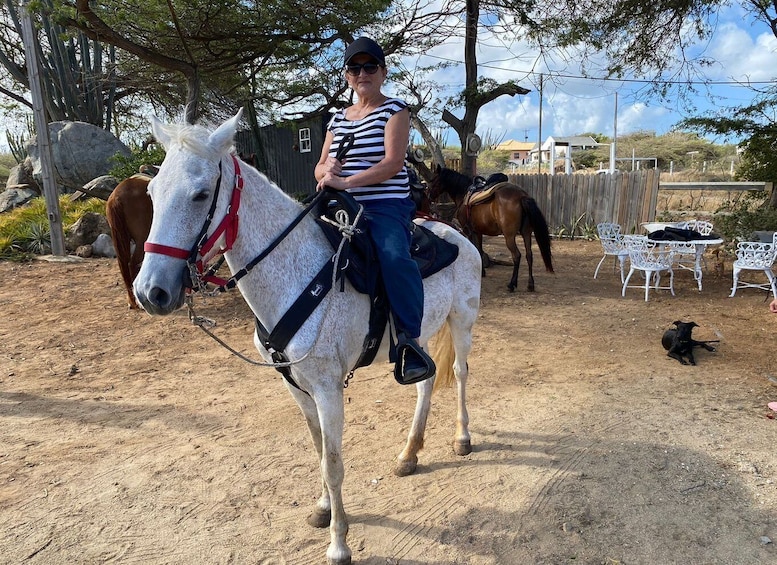 Picture 1 for Activity Aruba: Horseback Ride Tour to Wariruri Beach