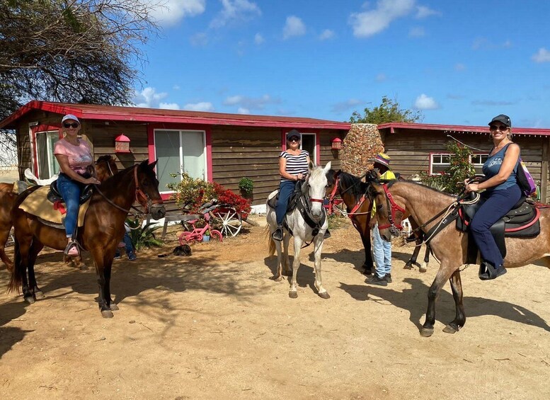 Picture 3 for Activity Aruba: Horseback Ride Tour to Wariruri Beach