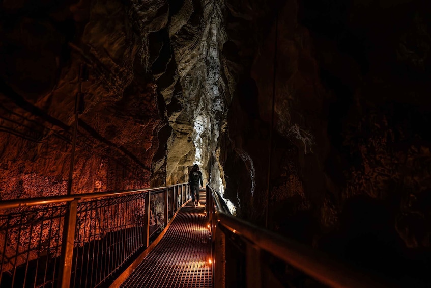 Picture 2 for Activity From Auckland: Waitomo Caves and Kiwi House Group Tour