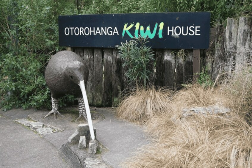 Picture 5 for Activity From Auckland: Waitomo Caves and Kiwi House Group Tour