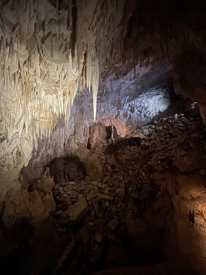 Picture 4 for Activity From Auckland: Waitomo Caves and Kiwi House Group Tour