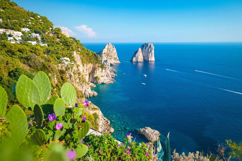 Picture 1 for Activity Capri, Anacapri, and Blue Grotto Full-Day private tour