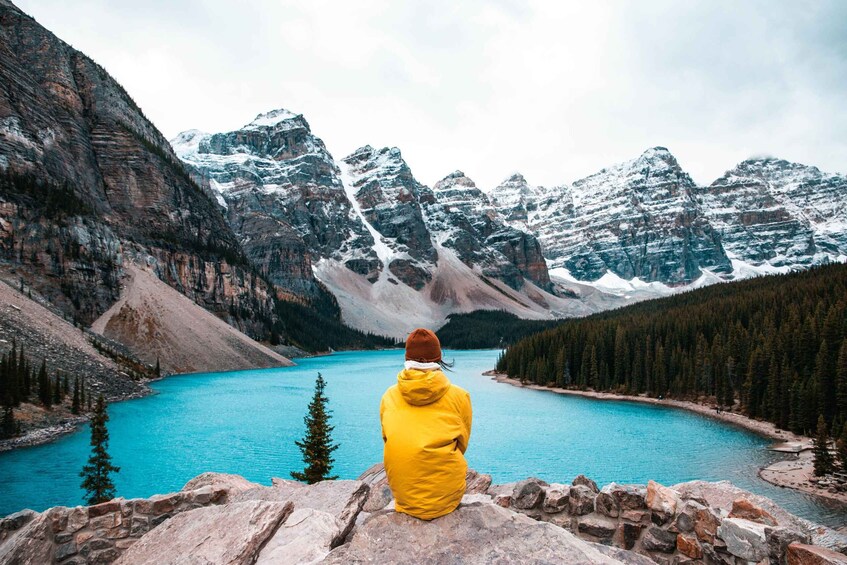 Picture 6 for Activity Lake Louise: Moraine & Louise Lake Half-Day Highlights Tour