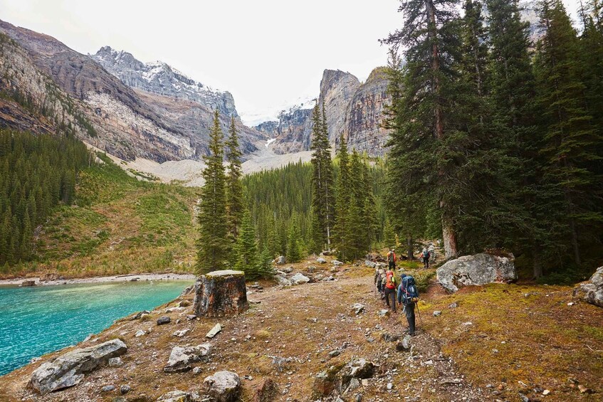 Picture 9 for Activity Lake Louise: Moraine & Louise Lake Half-Day Highlights Tour