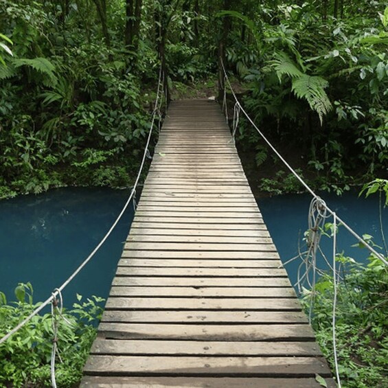 Picture 2 for Activity Tenorio National Park: Guided Tour and Sloth Experience