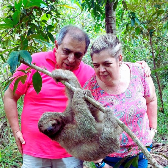 Picture 4 for Activity Tenorio National Park: Guided Tour and Sloth Experience