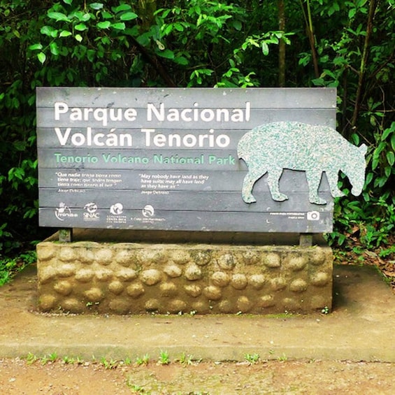 Tenorio National Park: Guided Tour and Sloth Experience