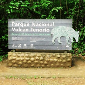 Tenorio National Park: Geführte Tour und Faultier-Erlebnis