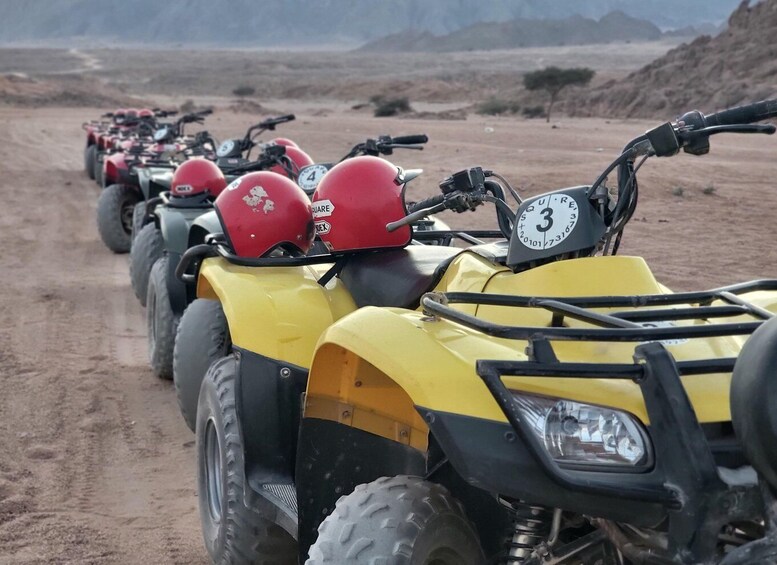 Picture 32 for Activity Sharm El Sheikh: ATV Desert Trip with Paragliding and Lunch