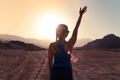 Sharm El Sheij: Excursión en quad por el desierto con parapente y almuerzo