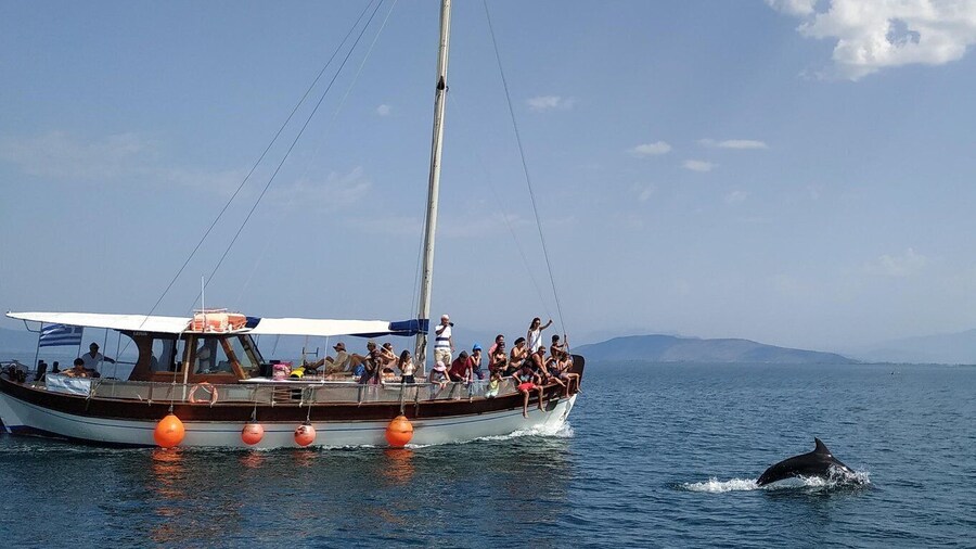 Preveza: Dolphin Watching Cruise with Lunch and Drinks