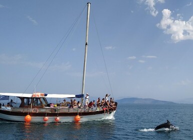 Preveza: Dolphin Watching Cruise with Lunch and Drinks