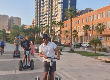 Malaga: Park, hamn och slottet Gibralfaro Segway/Scooter Tour