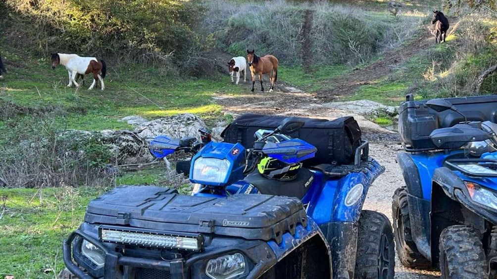 Picture 3 for Activity Bracciano: 4-hour quad bike tour