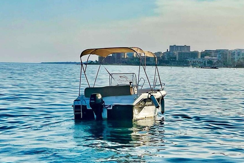 Picture 2 for Activity Malaga: Boat Rental without a License for Dolphin Watching