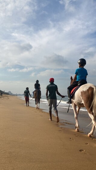 Picture 6 for Activity Horse Riding in Mount Lavinia