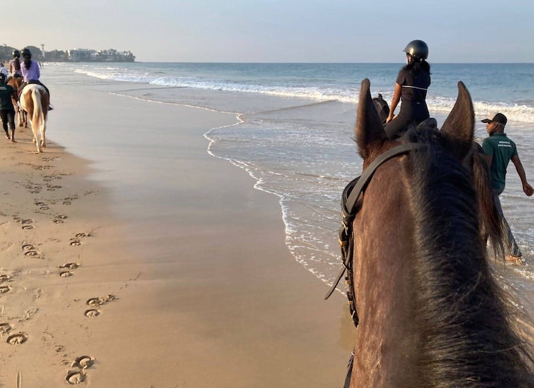 Horse Riding in Mount Lavinia