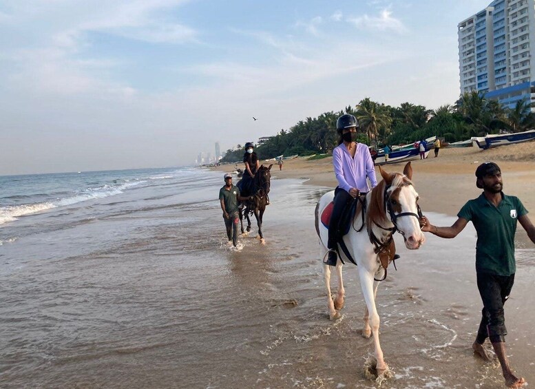 Picture 1 for Activity Horse Riding in Mount Lavinia