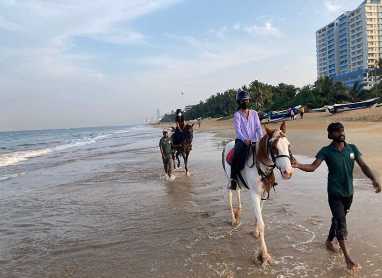 Picture 1 for Activity Horse Riding in Mount Lavinia