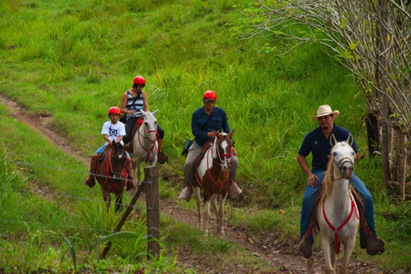 Picture 1 for Activity From Jaco: Horseback Riding in Hacienda Nosavar