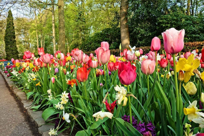 Picture 1 for Activity From Amsterdam: Keukenhof Gardens and Giethoorn Tour