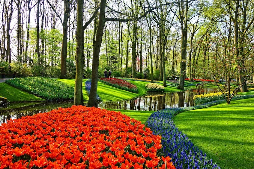 From Amsterdam: Keukenhof Gardens and Giethoorn Tour