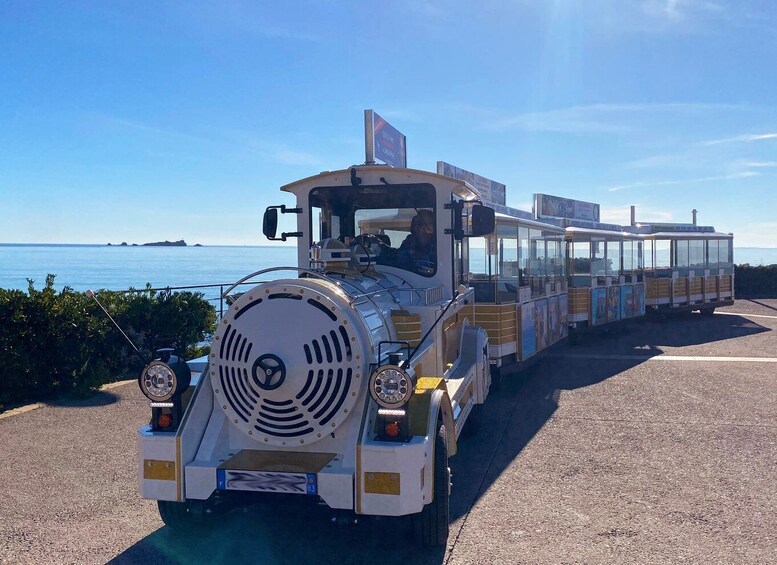 Picture 3 for Activity Saint-Raphaël : The Little Train of Saint Raphaël Tour