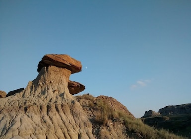 From Calgary: Canadian Badlands Private Geological Tour