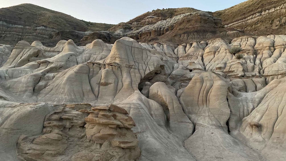 Picture 5 for Activity From Calgary: Canadian Badlands Private Geological Tour