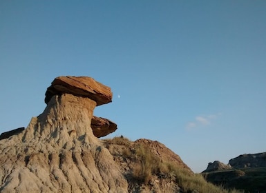 From Calgary: Canadian Badlands Private Geological Tour