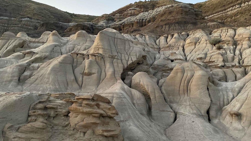 Picture 5 for Activity From Calgary: Canadian Badlands Private Geological Tour