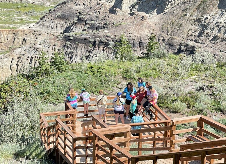 Picture 9 for Activity From Calgary: Canadian Badlands Private Geological Tour