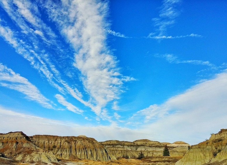 Picture 2 for Activity From Calgary: Canadian Badlands Private Geological Tour