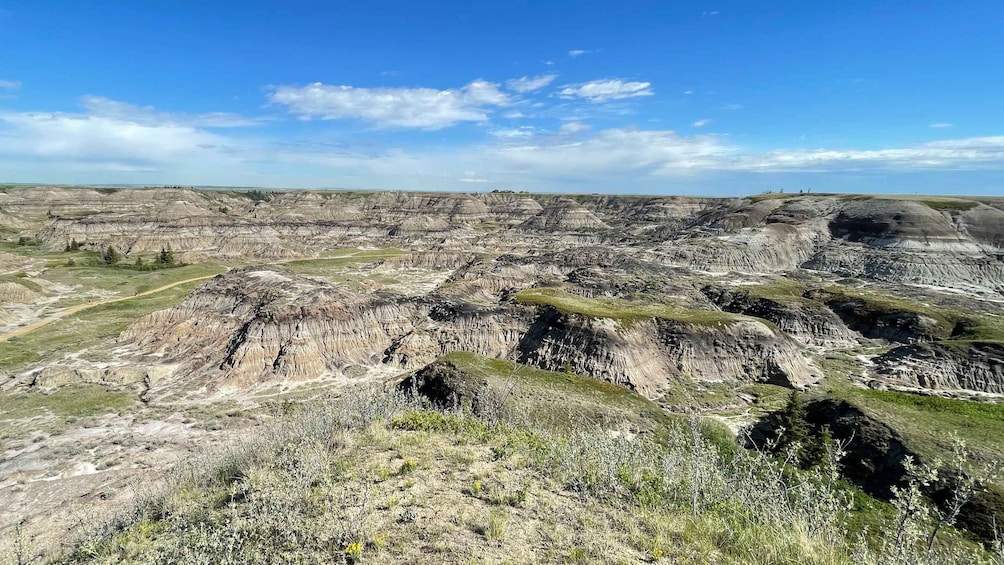 Picture 8 for Activity From Calgary: Canadian Badlands Private Geological Tour