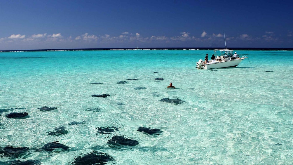 Picture 2 for Activity Grand Cayman: 3-Stop Stingray City Tour with Snorkeling