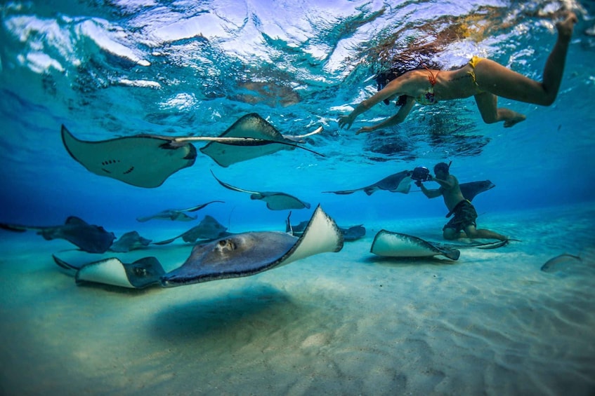 Grand Cayman: 3-Stop Stingray City Tour with Snorkeling