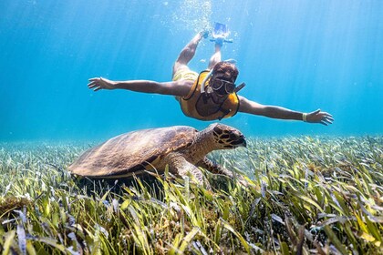 Cancun: Snorkelling Boat Tour with Hotel Transfer and Gear