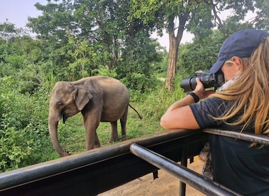 Kandy: 4-dages Sri Lanka-tur med fuld cirkel til Colombo