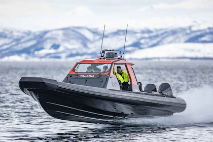 Private Cruise with High Speed RIB