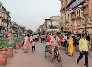 Delhi: Private Guided Day Trip of Old & New Delhi by Car