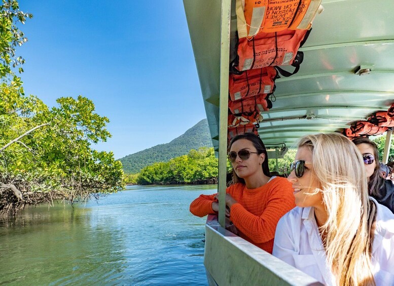 Picture 3 for Activity Port Douglas: Daintree National Park Tour, Cruise, & Zipline